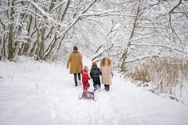 Family enjoys a snowy walk in the winter forest, pulling a sled through the frosty landscape.